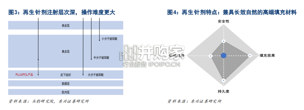 再生针剂行业报告(21页)-第1张图片 再生针剂行业报告(21页)-第1张图片