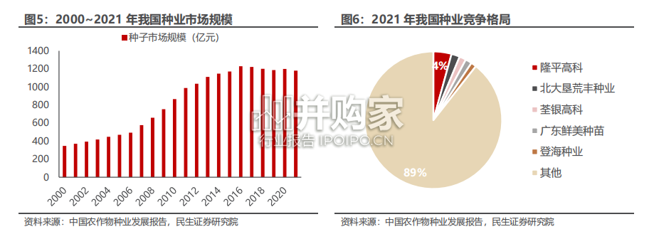 种子行业报告(40页)-第1张图片 种子行业报告(40页)-第1张图片