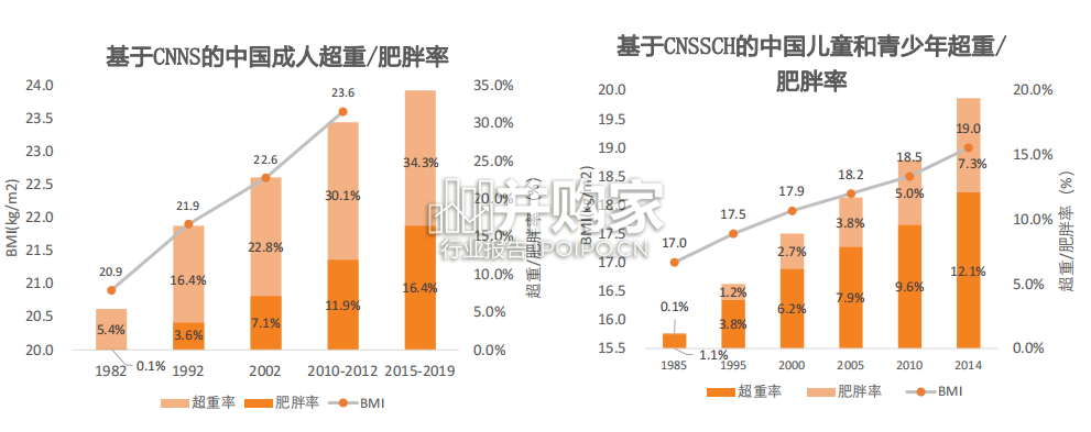 减肥药行业报告(56页)-第1张图片 减肥药行业报告(56页)-第1张图片