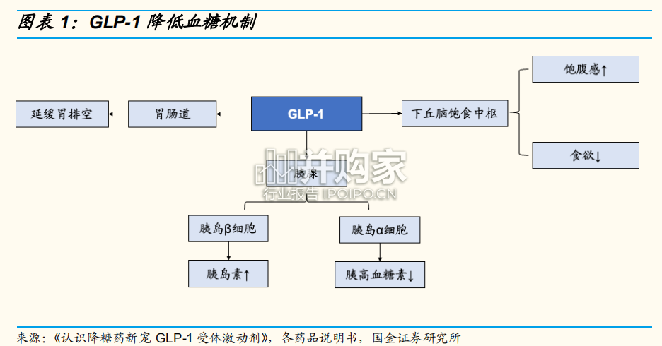 降糖减重药物研究报告:GLP-1RA产品优势显著(15页)-第1张图片 降糖减重药物研究报告:GLP-1RA产品优势显著(15页)-第1张图片