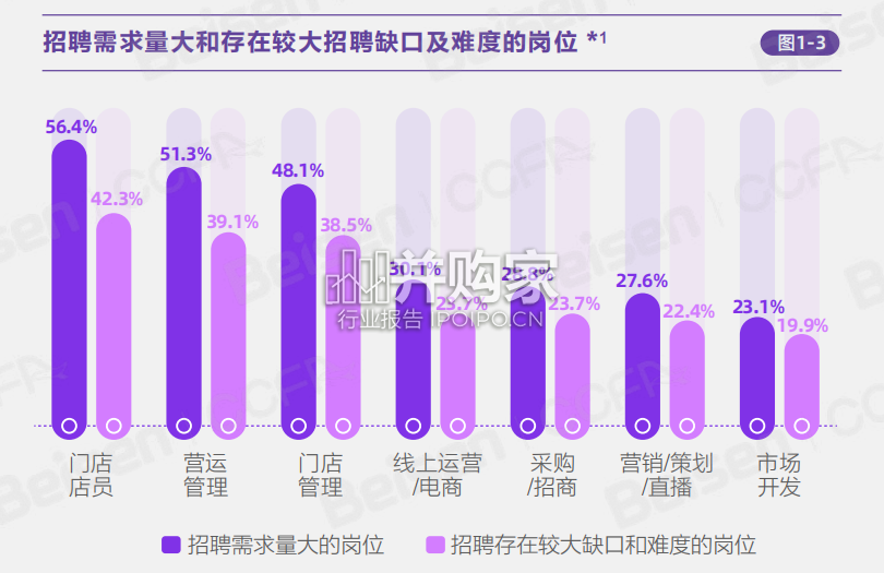 中国连锁企业人才管理报告(49页)-第1张图片 中国连锁企业人才管理报告(49页)-第1张图片