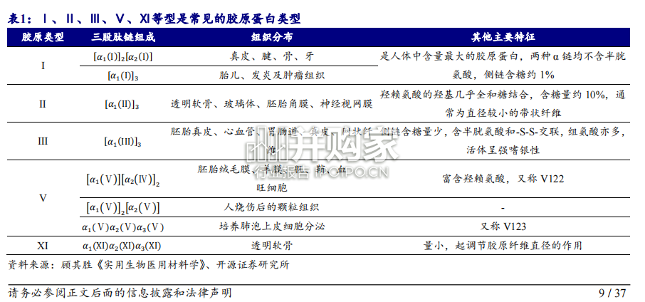 胶原蛋白行业报告:重组胶原(37页)-第1张图片 胶原蛋白行业报告:重组胶原(37页)-第1张图片