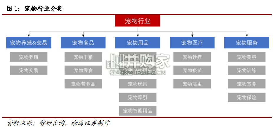 宠物行业报告(44页)-第1张图片 宠物行业报告(44页)-第1张图片