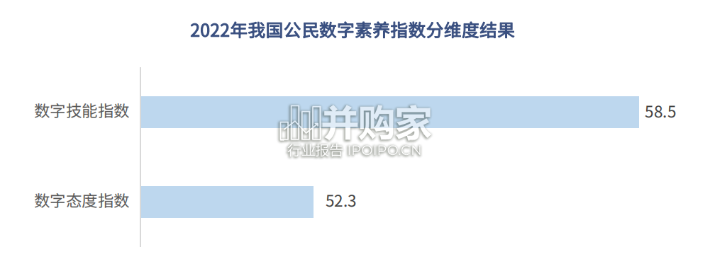 中国公民数字胜任力白皮书（44页）-第1张图片