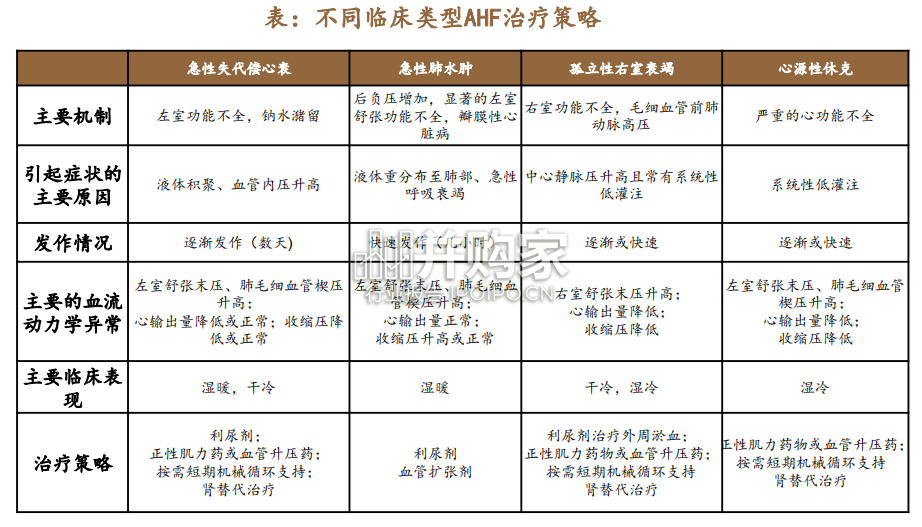 心衰药物市场报告(48页)-第1张图片 心衰药物市场报告(48页)-第1张图片