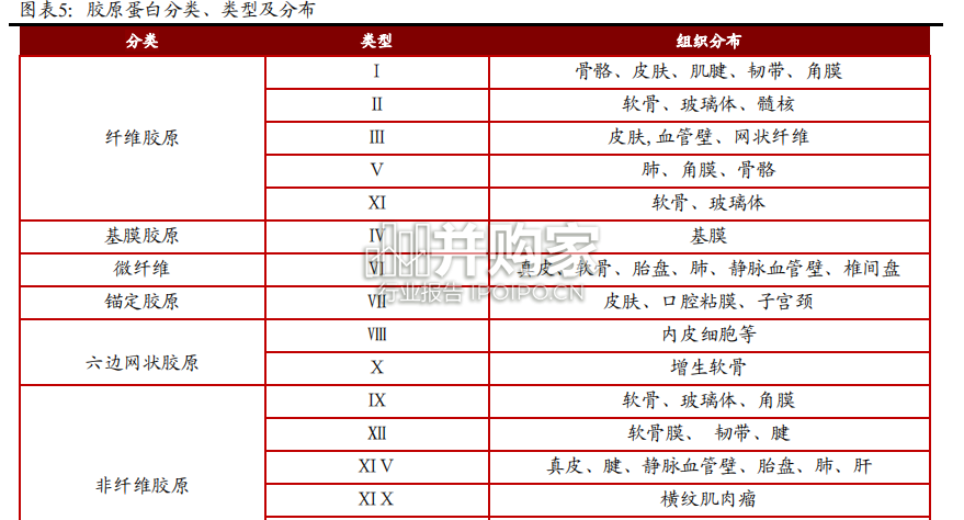 美容护理行业深度报告:胶原蛋白(33页)-第1张图片 美容护理行业深度报告:胶原蛋白(33页)-第1张图片