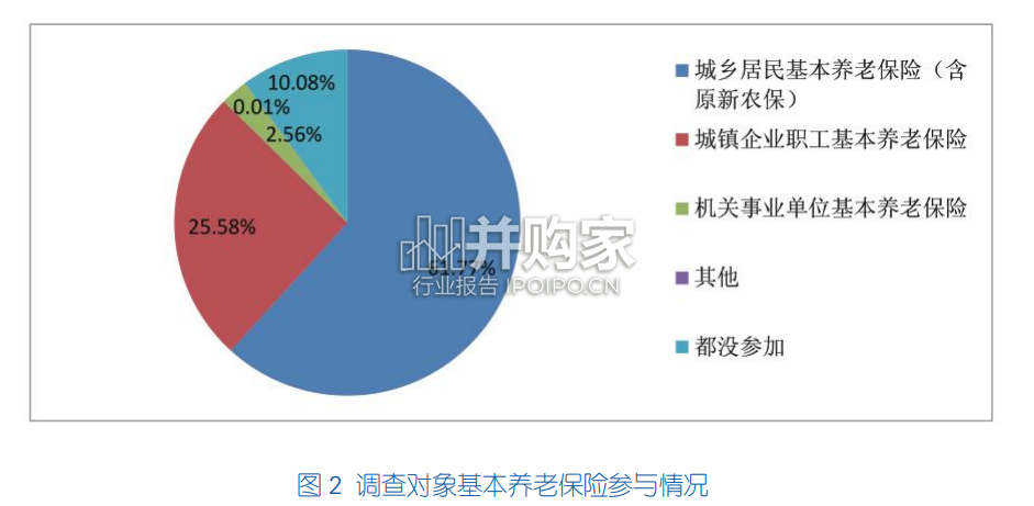 中国农村养老金融调查研究报告(62页)-第1张图片 中国农村养老金融调查研究报告(62页)-第1张图片