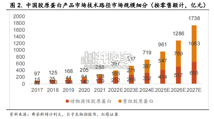 胶原蛋白行业报告（25页）-第1张图片