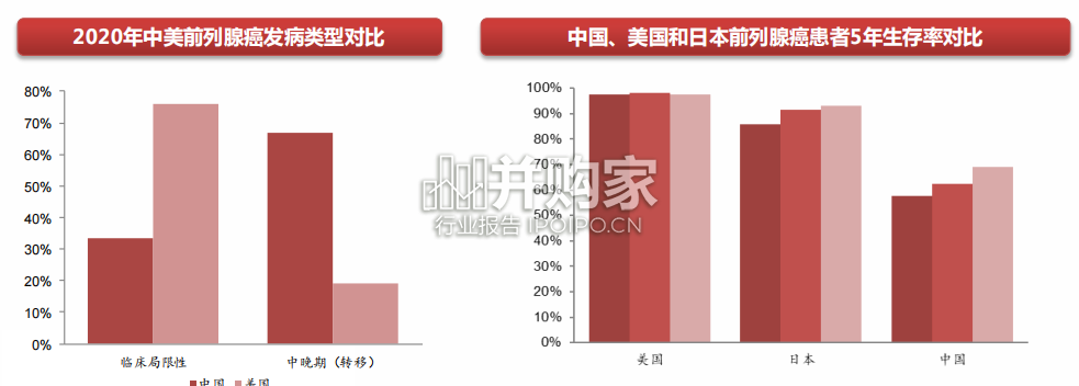 创新药行业报告:前列腺癌(51页)-第1张图片 创新药行业报告:前列腺癌(51页)-第1张图片