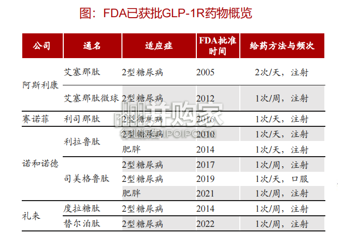 减重药&CDMO行业报告:减重药高需求下CDMO(45页)-第1张图片 减重药&CDMO行业报告:减重药高需求下CDMO(45页)-第1张图片