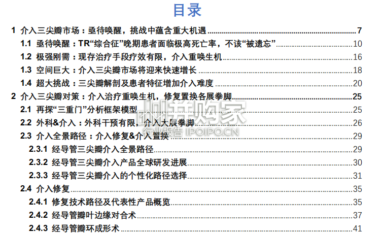 经导管三尖瓣介入治疗行业报告(96页)-第1张图片 经导管三尖瓣介入治疗行业报告(96页)-第1张图片