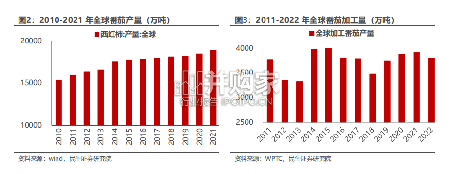 番茄酱行业报告(27页)-第1张图片 番茄酱行业报告(27页)-第1张图片