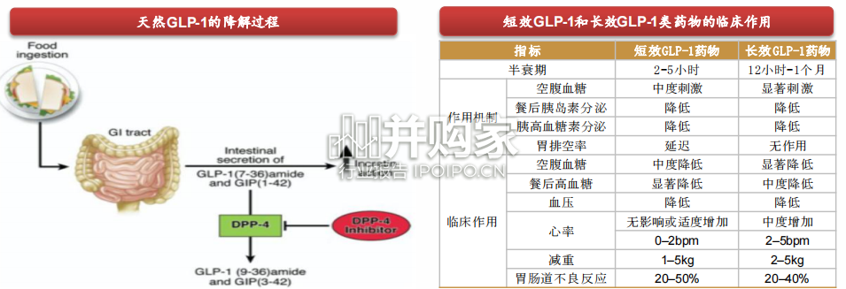 医药行业报告:GLP-1RA引领全球降糖减重(87页)-第1张图片 医药行业报告:GLP-1RA引领全球降糖减重(87页)-第1张图片