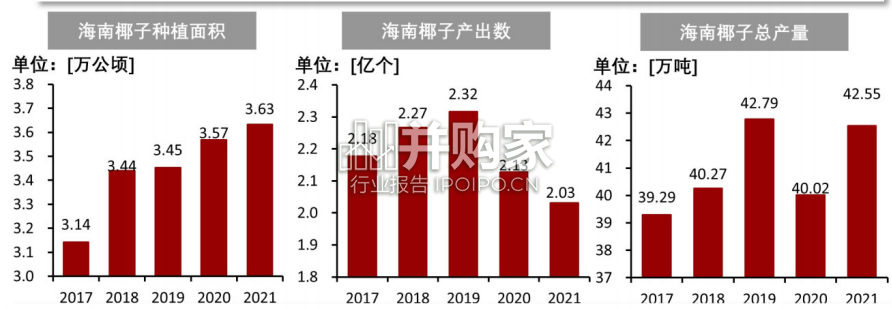 中国椰子全产业链市场调研报告(12页)-第1张图片 中国椰子全产业链市场调研报告(12页)-第1张图片