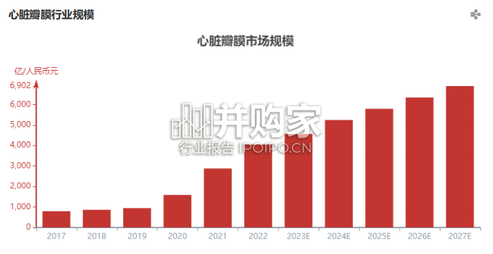 中国心脏瓣膜行业报告(19页)-第1张图片 中国心脏瓣膜行业报告(19页)-第1张图片