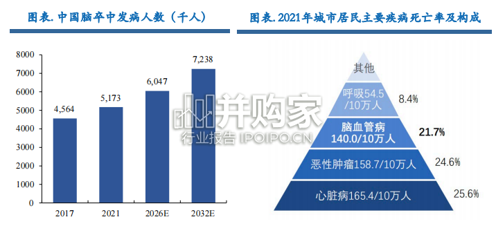 神经介入行业报告(52页)-第1张图片 神经介入行业报告(52页)-第1张图片