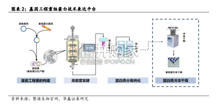 医药生物行业深度报告:GLP-1药物带动原料药CDMO及上游需求(40页)-第1张图片 医药生物行业深度报告:GLP-1药物带动原料药CDMO及上游需求(40页)-第1张图片