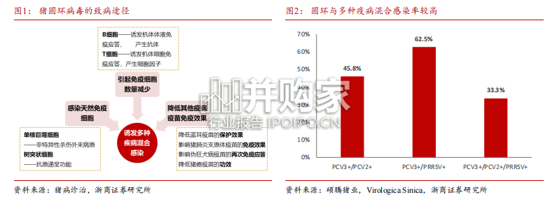 动保行业报告:猪圆环病毒(11页)-第1张图片 动保行业报告:猪圆环病毒(11页)-第1张图片