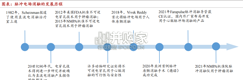 电生理行业报告：脉冲消融（55页）-第1张图片