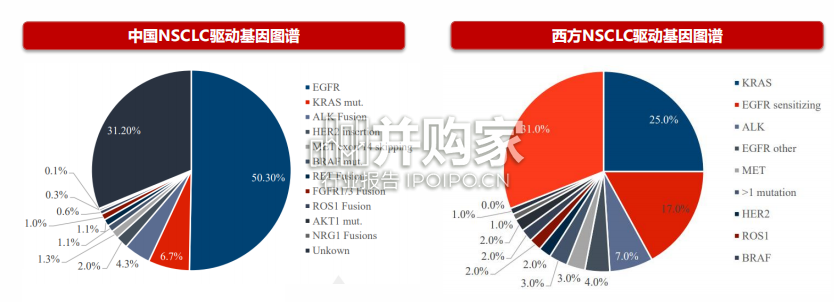 创新药行业报告:ADC、EGFR(29页)-第1张图片 创新药行业报告:ADC、EGFR(29页)-第1张图片