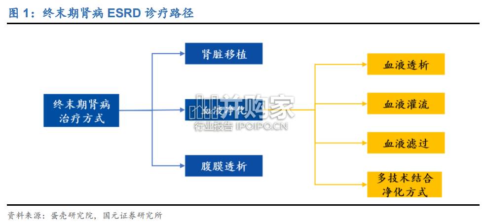 血液透析行业报告(36页)-第1张图片 血液透析行业报告(36页)-第1张图片