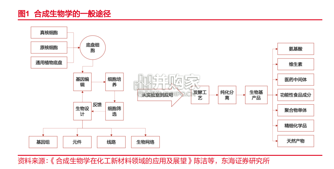 合成生物产业化报告:生物基材料(20页)-第1张图片 合成生物产业化报告:生物基材料(20页)-第1张图片