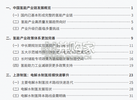 中国氢能产业发展报告(128页)-第1张图片 中国氢能产业发展报告(128页)-第1张图片