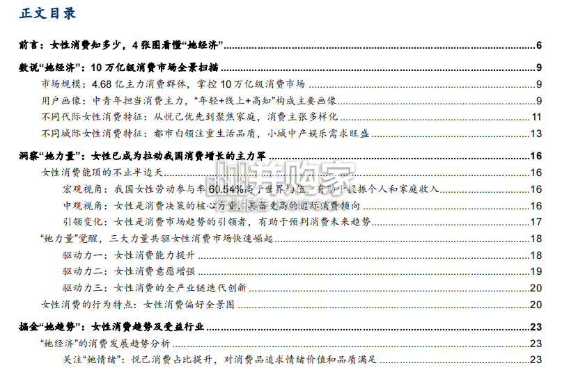 她经济研究报告(68页)-第1张图片 她经济研究报告(68页)-第1张图片