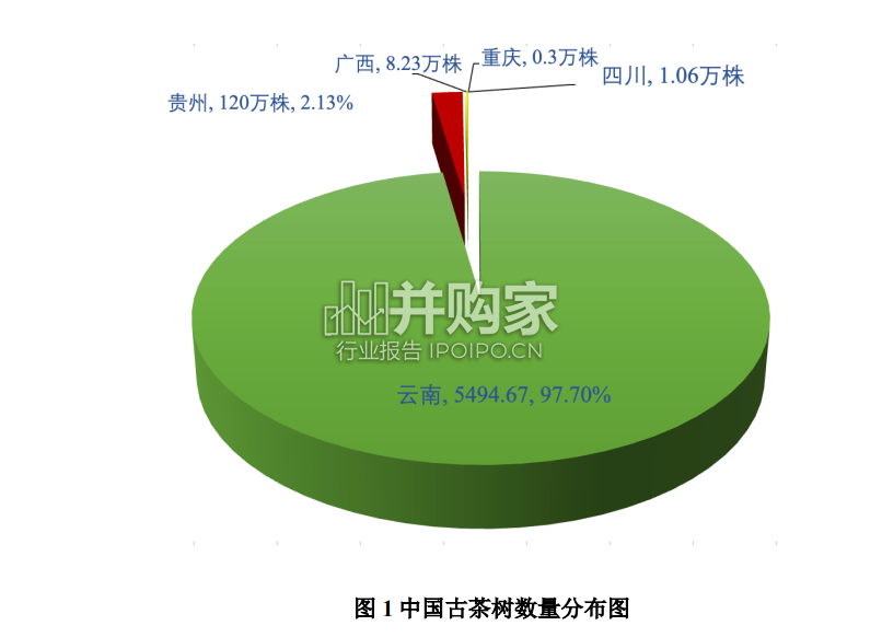 中国古茶树资源状况白皮书:古茶树保护与可持续利用(39页)-第1张图片 中国古茶树资源状况白皮书:古茶树保护与可持续利用(39页)-第1张图片