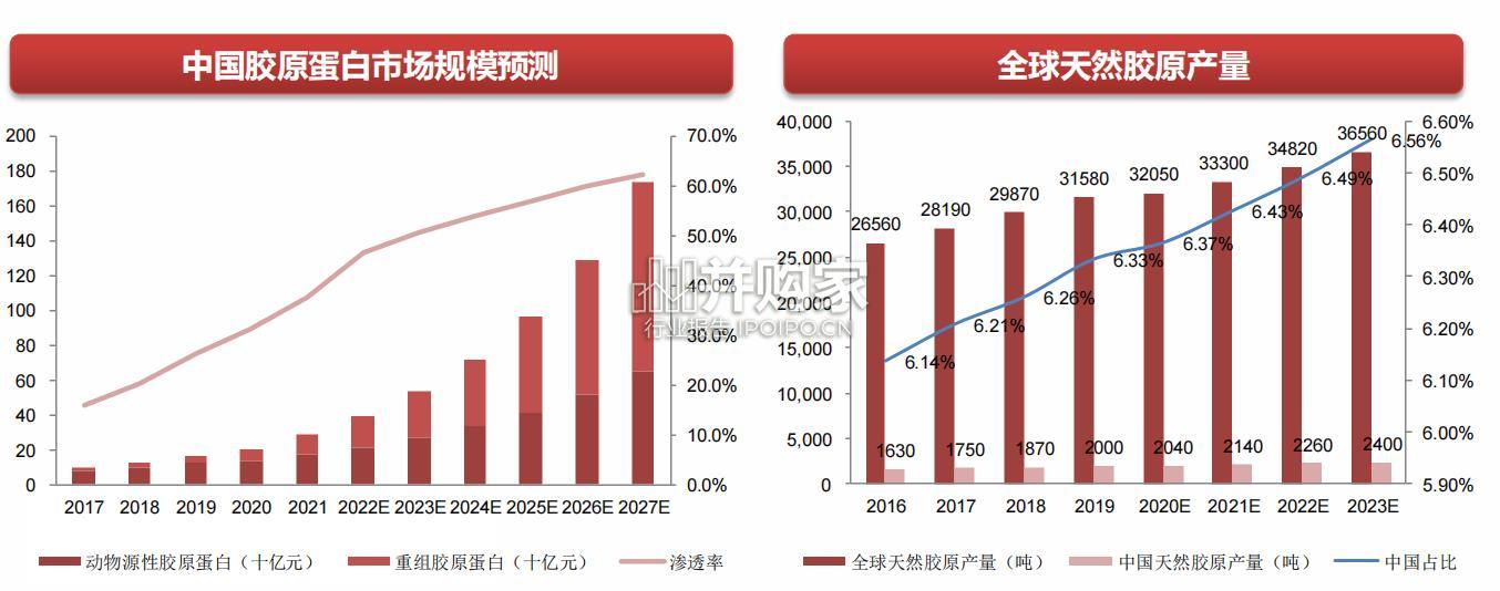胶原蛋白行业报告(45页)-第1张图片 胶原蛋白行业报告(45页)-第1张图片
