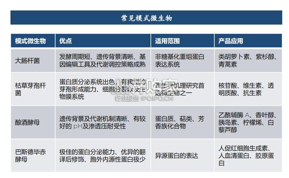 合成生物学行业报告(53页)-第1张图片 合成生物学行业报告(53页)-第1张图片