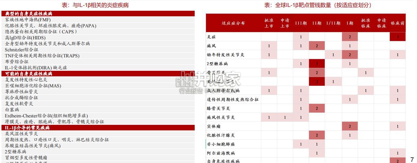 创新药靶点研究报告:IL-1β,炎症相关疾病的潜力靶点(25页)-第1张图片 创新药靶点研究报告:IL-1β,炎症相关疾病的潜力靶点(25页)-第1张图片