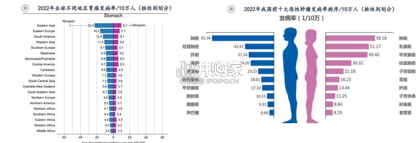 ADC药物适应症研究报告:HER2+胃癌治疗、CLDN18.2靶点(34页)-第1张图片 ADC药物适应症研究报告:HER2+胃癌治疗、CLDN18.2靶点(34页)-第1张图片