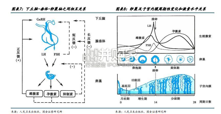 辅助生殖行业报告(29页)-第1张图片 辅助生殖行业报告(29页)-第1张图片