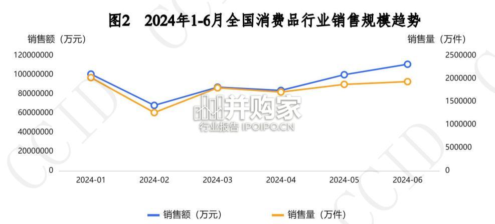2024年1-6月全国消费品行业发展报告(76页)-第1张图片 2024年1-6月全国消费品行业发展报告(76页)-第1张图片