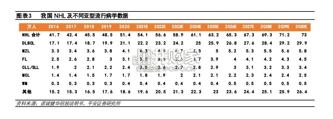 BTK抑制剂行业报告(35页)-第1张图片 BTK抑制剂行业报告(35页)-第1张图片