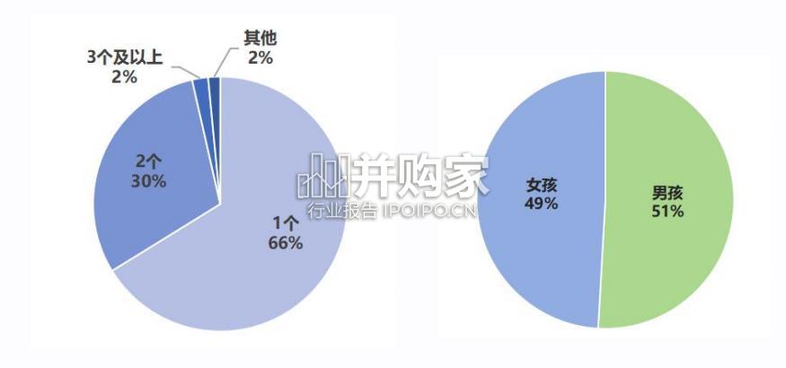 北京市家庭教育需求及发展趋势白皮书(17页)-第1张图片 北京市家庭教育需求及发展趋势白皮书(17页)-第1张图片