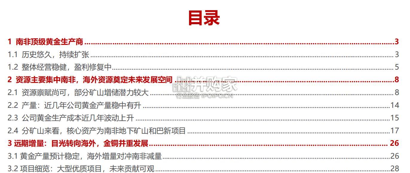 哈莫尼专题研究报告:南非金矿巨头(38页)-第1张图片 哈莫尼专题研究报告:南非金矿巨头(38页)-第1张图片