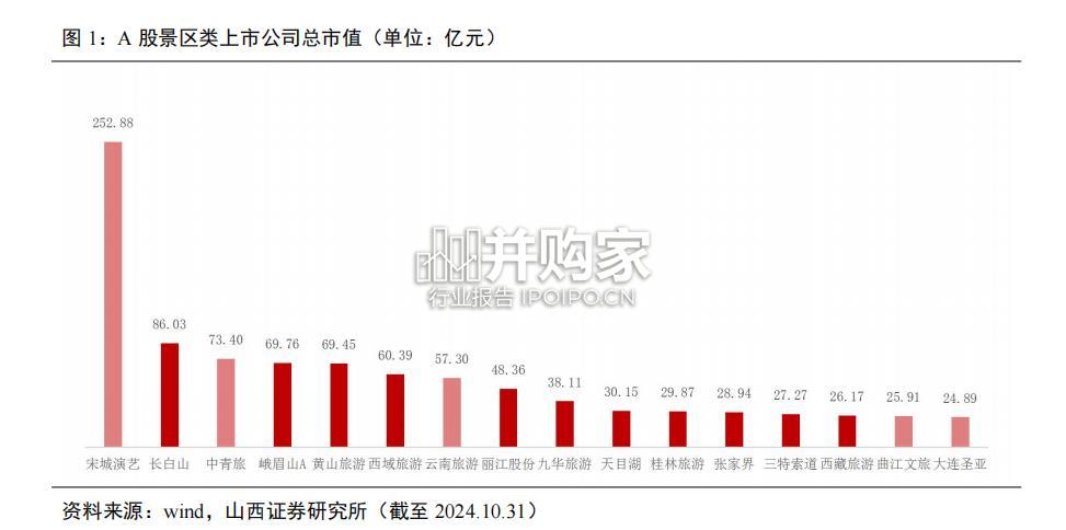 自然景区行业报告(29页)-第1张图片 自然景区行业报告(29页)-第1张图片