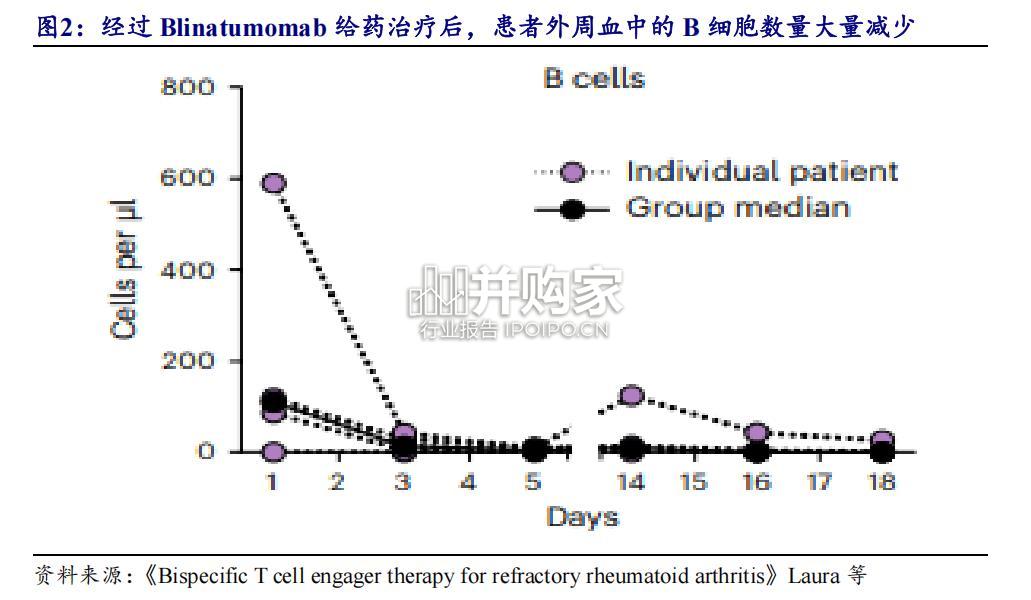 生物制品行业报告:双抗&CAR-T,新一代BCDT疗法新星(18页)-第1张图片 生物制品行业报告:双抗&CAR-T,新一代BCDT疗法新星(18页)-第1张图片