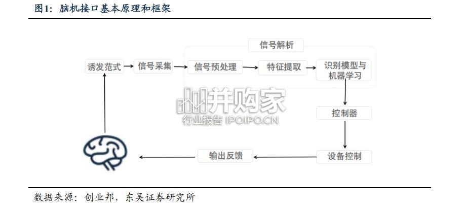 脑机接口技术和应用研究报告(16页)-第1张图片 脑机接口技术和应用研究报告(16页)-第1张图片