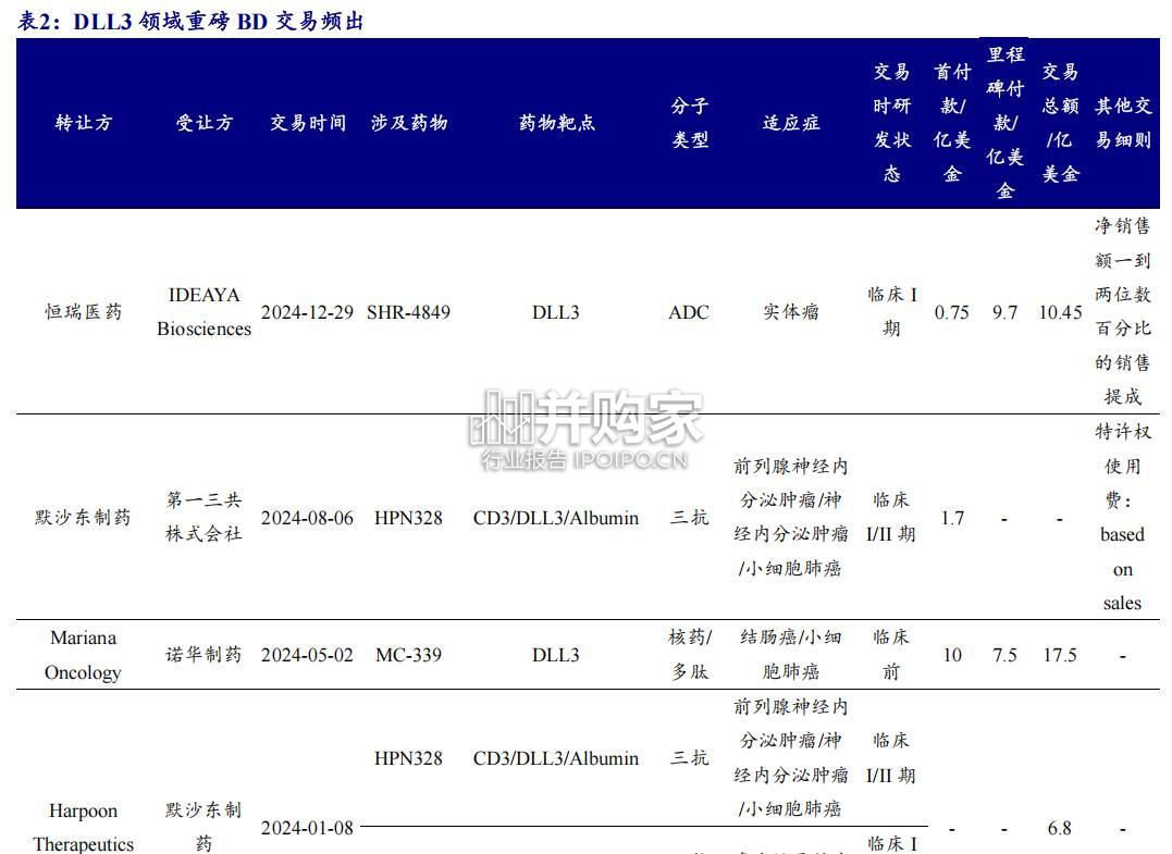 生物制品行业深度报告:DLL3,SCLC高表达明星靶点(18页)-第1张图片 生物制品行业深度报告:DLL3,SCLC高表达明星靶点(18页)-第1张图片