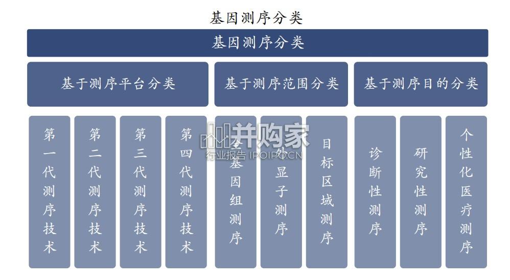基因测序行业报告：分子诊断、四代测序（26页）-第1张图片