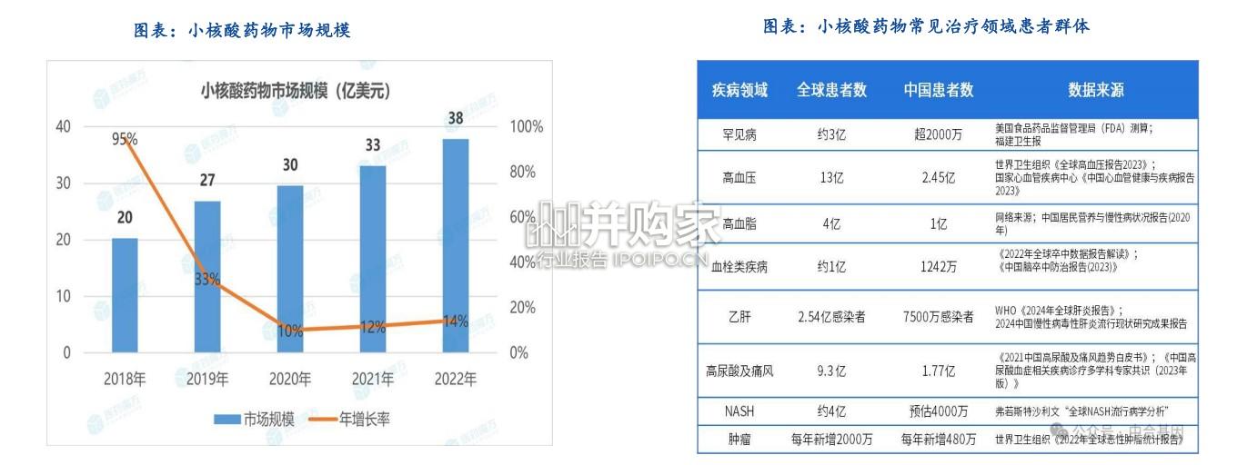 小核酸行业报告:技术平台和适应症不断验证(65页)-第1张图片 小核酸行业报告:技术平台和适应症不断验证(65页)-第1张图片