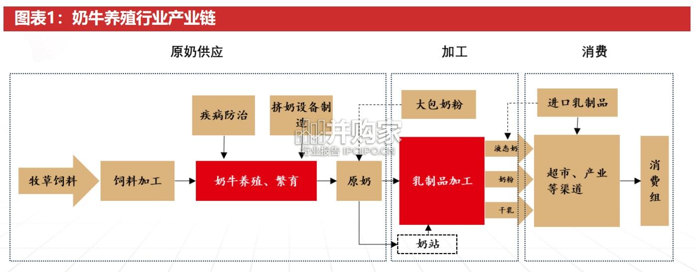 奶牛养殖行业研究报告(41页)-第1张图片 奶牛养殖行业研究报告(41页)-第1张图片