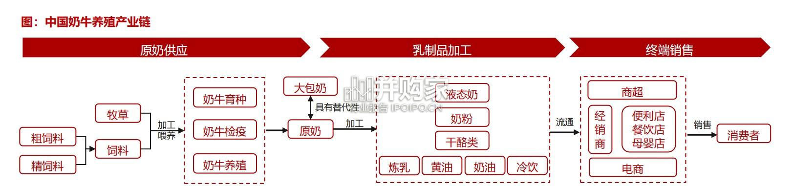 奶牛养殖行业报告(27页)-第1张图片 奶牛养殖行业报告(27页)-第1张图片