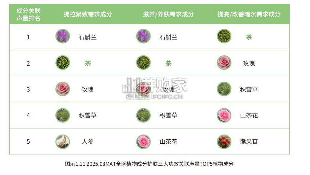 中国茶科技嫩肤白皮书(111页)-第1张图片 中国茶科技嫩肤白皮书(111页)-第1张图片