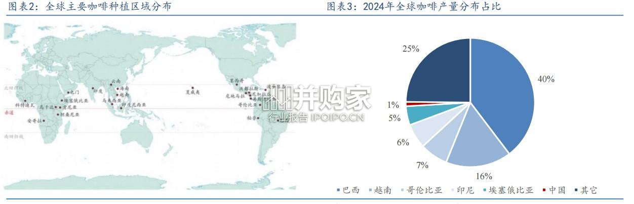 咖啡行业报告:云南咖啡豆(30页)-第1张图片 咖啡行业报告:云南咖啡豆(30页)-第1张图片