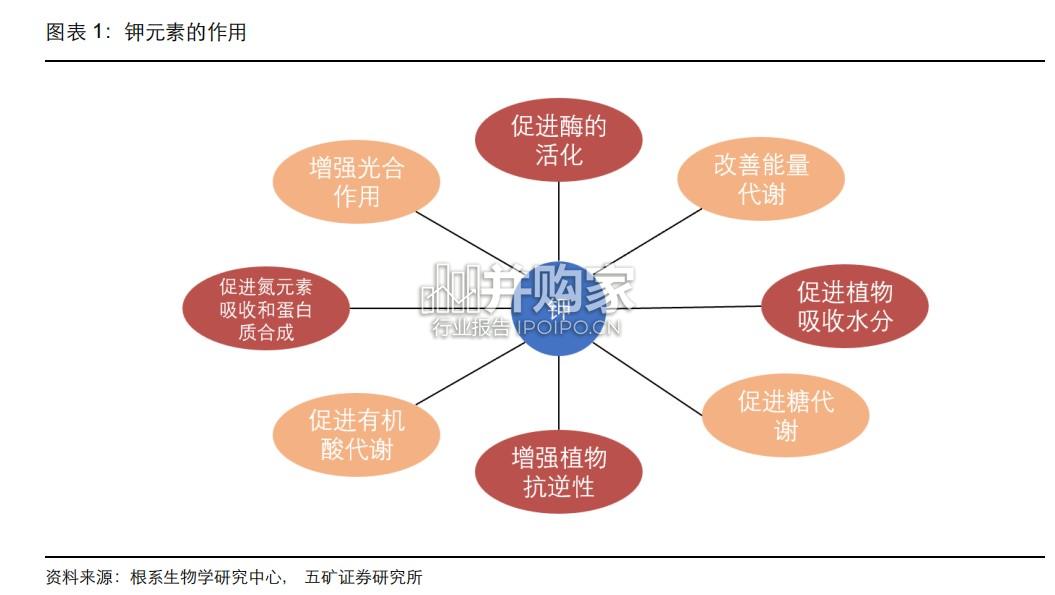钾行业报告(30页)-第1张图片 钾行业报告(30页)-第1张图片