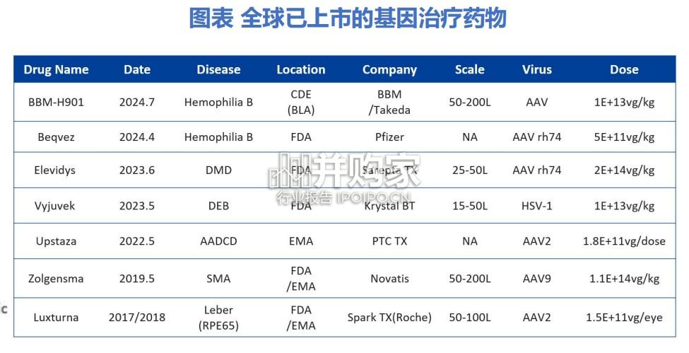 AAV基因治疗行业报告：脑科+眼科（33页）-第1张图片
